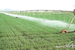 طراحی یک بسته حمایتی برای اجرای الگوی کشت