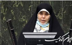انتقاد قاسم پور از عدم تخصیص بودجه آسیب‌های اجتماعی