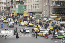 بوی زندگی و یک کلاغ چهل کلاغ فضای مجازی