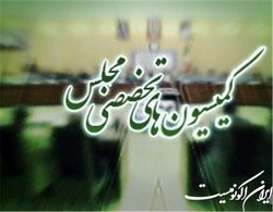 بررسی ابعاد حوادث اخیر کشور در دستور کار کمیسیون‌های تخصصی مجلس قرار دارد