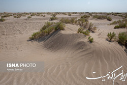سرعت افزایش بیابان‌زایی سه برابر عملیات بیابان‌زدایی در کشور