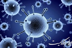 موج آنفلوآنزا در راه است؟