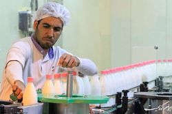 تخریب صنعت لبنیات برای ضربه زدن به تولید کشور است