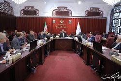 لزوم توافق درباره نرخ خوراک پتروشیمی تا پیش از ارسال لایحه بودجه ۱۴۰۲