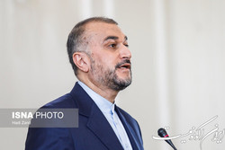 امیر عبداللهیان:دولت، ایرانیان خارج از کشور را فرصت تلقی می کند