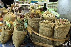 ششمین نمایشگاه ملی گیاهان دارویی و طب سنتی ایران گشایش یافت