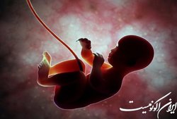 تدوین لایحه‌ای جهت  ساماندهی اهدای جنین 