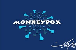 آبله میمونی همچنان وضعیت اضطراری بهداشت جهانی است