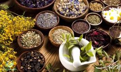 مدیر موسسه تحقیقات علمی ونزوئلا: فرصت خوبی برای شرکت‌های ایران در ونزوئلا فراهم است