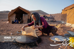 افزایش ۳۰ درصدی خدمات رفاهی و بهداشتی به عشایر استان تهران