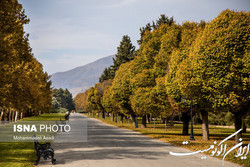 کاهش دمای هوای تهران طی هفته جاری