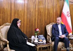 گزارش سفیر ایران در برونئی دارالسلام به امیرعبداللهیان