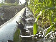 تغییر الگوی کشت راه نجات از بحران آب