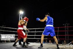 پایان کار سه بوکسور ایران در آسیا؛ جانشین شه‌بخش حذف شد