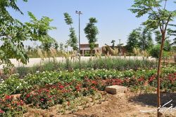 ۴۰ هکتار از بوستان ایرانیان در جنوب تهران تصرف شده است