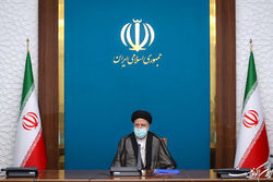 مطالبات دامداران بابت نهاده‌های دامی قبل از حذف ارز ترجیحی تا پایان سال تسویه می‌شود