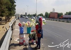 گل‌فروشان مسیر بهشت‌زهرا (س) ساماندهی می‌شوند