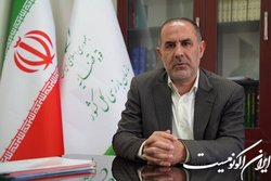 تشریح اقدامات سازمان بازرسی برای نظارت بر اجرای قانون حمایت از خانواده و جوانی جمعیت