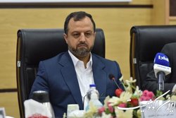 دو طرح اقتصادی برای محقق کردن آرزوی دیرینه تولیدکنندگان