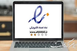 دلایل خودداری پرداختیارها از دریافت اینماد چیست؟