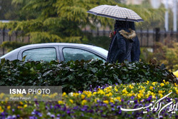 رگبار باران در برخی استان‌ها