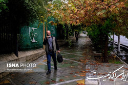 وزش باد و بارش‌ پراکنده در تهران