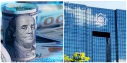 پارازیت بانک مرکزی روی نرخ دلار
