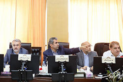مخالفت اعضای کمیسیون اقتصادی مجلس با استیضاح فاطمی‌ امین