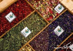 حضور بازرگانان و سرمایه گذاران خارجی از ۱۵ کشور در نمایشگاه گیاهان دارویی