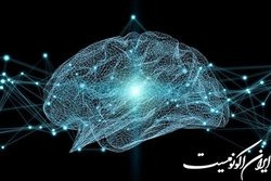 ارسال ۳۰ طرح پژوهشی در فراخوان ستاد علوم‌شناختی