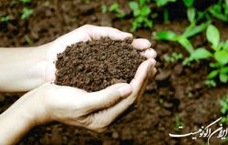 کاهش آلودگی خاک با استفاده از سموم و کودهای دوستدار محیط زیست