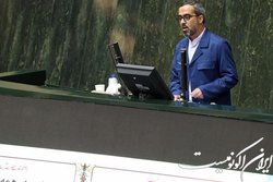 ایزدخواه از پاسخ‌های وزیر اقتصاد قانع شد