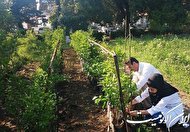 دوئل حرف تا عمل صیانت از خاک در کشور