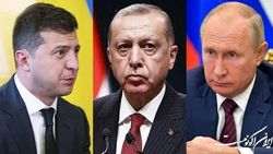 گفت‌وگوی اردوغان با پوتین و زلنسکی درباره صادرات غلات
