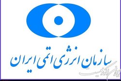 ساخت نیروگاه های اتمی کاملاً اقتصادی و پر مزیت است