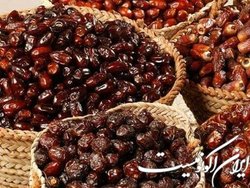 خرما گران نشده، جذابیت‌های صادراتی وجود ندارد