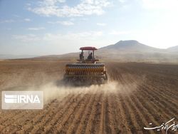 جذب هزار کارشناس برای طرح جهش تولید دیمزارها