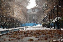 اتمام عملیات اجرایی طرح احداث میدانگاه باغ فردوس