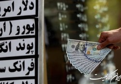 چه کسانی بازار ارز را بهم ریختند؟