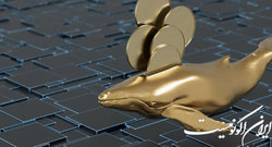 کدام دارندگان بیت‌کوین سود می‌کنند؟