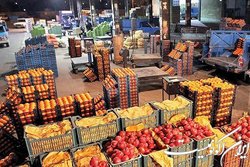 ذخیره سازی کافی میوه برای شب یلدا