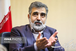 کمالوندی: اظهارات گاه و بی‌گاه غرب درباره  گزینه‌های روی میز  تبلیغاتی است