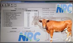 جیره نویسی گاوهای شیری با استفاده از نرم افزار NRC