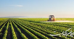 معطلی ۸ روزه کانتینرهای حمل محصولات کشاورزی در مرز آستارا