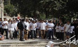 یورش گسترده شهرک نشینان به مسجد الاقصی