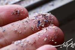 کبد؛ محل تجمع میکروپلاستیک‌ها در بدن