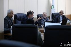 باهنر: بسیاری از مشکلات نتیجه بد عمل کردن به سیاست‌های کلی اصل۴۴ است