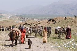 تاسیس صندوق اعتبارات خرد زنان روستایی و عشایری