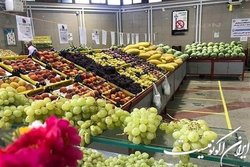 قیمت میوه های شب یلدا تعیین شد