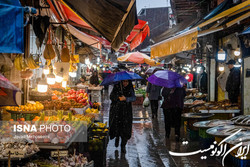 از توزیع بن‌کارتهای ۳ میلیون تومانی بین زنان سرپرست‌خانوار تا سبد پروتینی